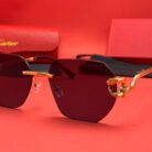 WhatsApp Image 2025-04-16 at 02.13.41 (1)