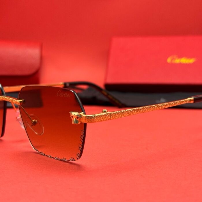 WhatsApp Image 2025-04-16 at 02.13.43 (2)