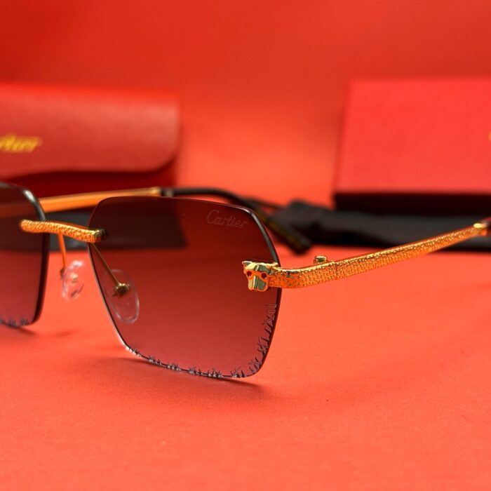 WhatsApp Image 2025-04-16 at 02.13.45