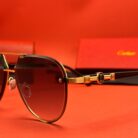 WhatsApp Image 2025-04-16 at 02.13.46 (1)