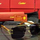 WhatsApp Image 2025-04-16 at 02.15.52 (1)