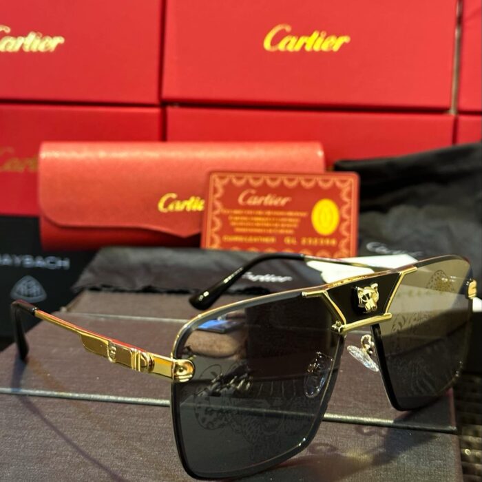 WhatsApp Image 2025-04-16 at 02.15.52