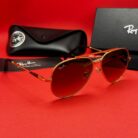 WhatsApp Image 2025-04-16 at 02.20.02