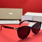 WhatsApp Image 2025-04-16 at 02.41.19