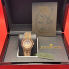 WhatsApp Image 2025-04-16 at 03.10.57 (1)